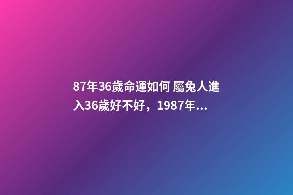 87年36歲命運如何 屬兔人進入36歲好不好，1987年屬兔人最旺的年齡